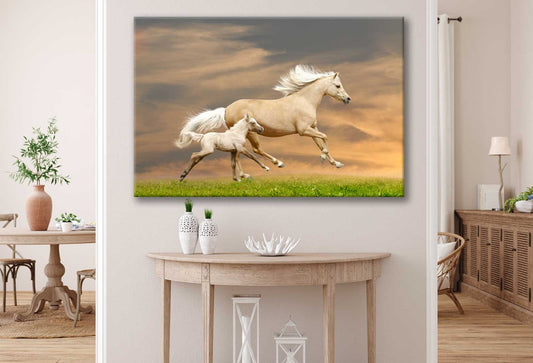 Bella Home Grass Field & Horses Sunset View Print Canvas Ready to hang