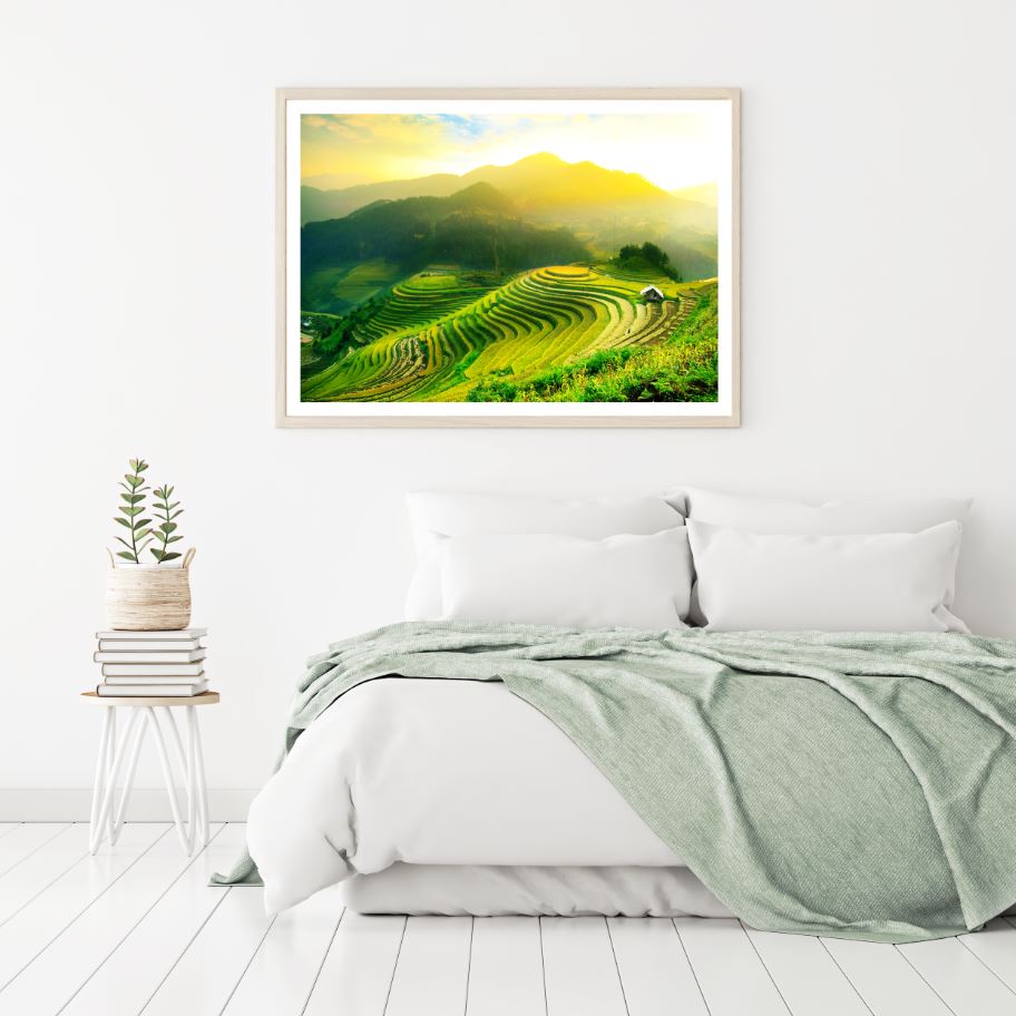 Paddy Fields Scenery Photograph Home Decor Premium Quality Poster Print Choose Your Sizes