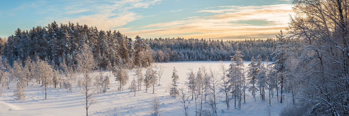 Panoramic Canvas Snowy Forest Trees Sunset View Photograph High Quality 100% Australian Made Wall Canvas Print Ready to Hang