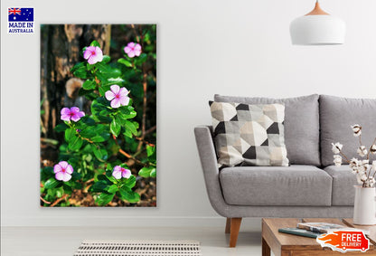 Pink Periwinkles Flowers Photograph Print 100% Australian Made