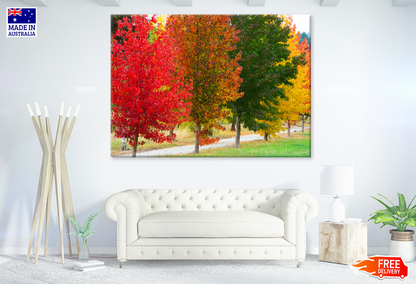 Colorful Autumn Trees Closeup Photograph Print 100% Australian Made