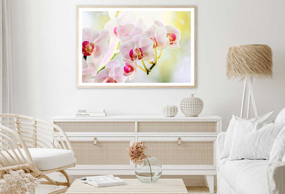 White Pink Orchid Flowers View Home Decor Premium Quality Poster Print Choose Your Sizes