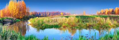 Panoramic Canvas Mixed Forest & Lake View Photograph High Quality 100% Australian Made Wall Canvas Print Ready to Hang