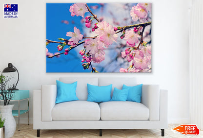 Pink Blossom Flower Branch Closeup Photograph Print 100% Australian Made