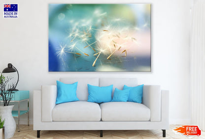 Blossoming White Dandelion Abstarct Design Print 100% Australian Made