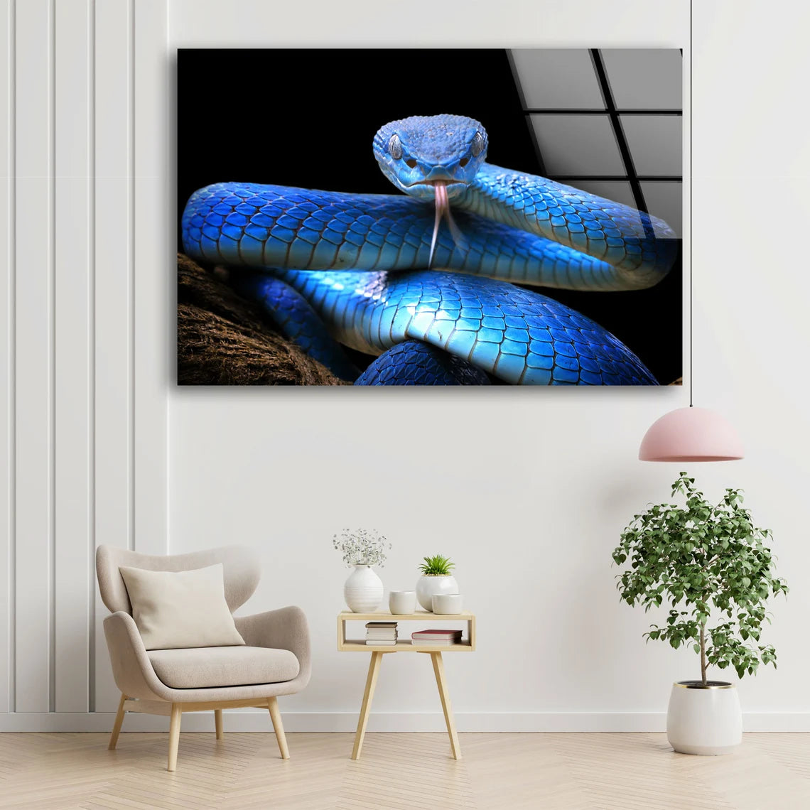 Blue Snake Closeup Photograph Acrylic Glass Print Tempered Glass Wall Art 100% Made in Australia Ready to Hang