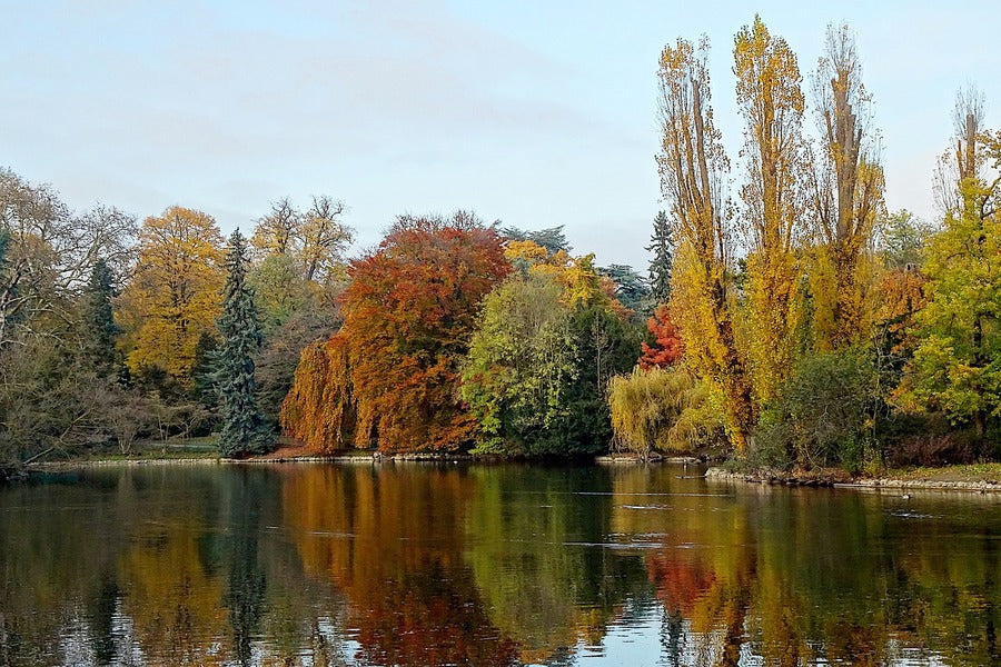 Autumn Forest View From Lake Photograph Print 100% Australian Made