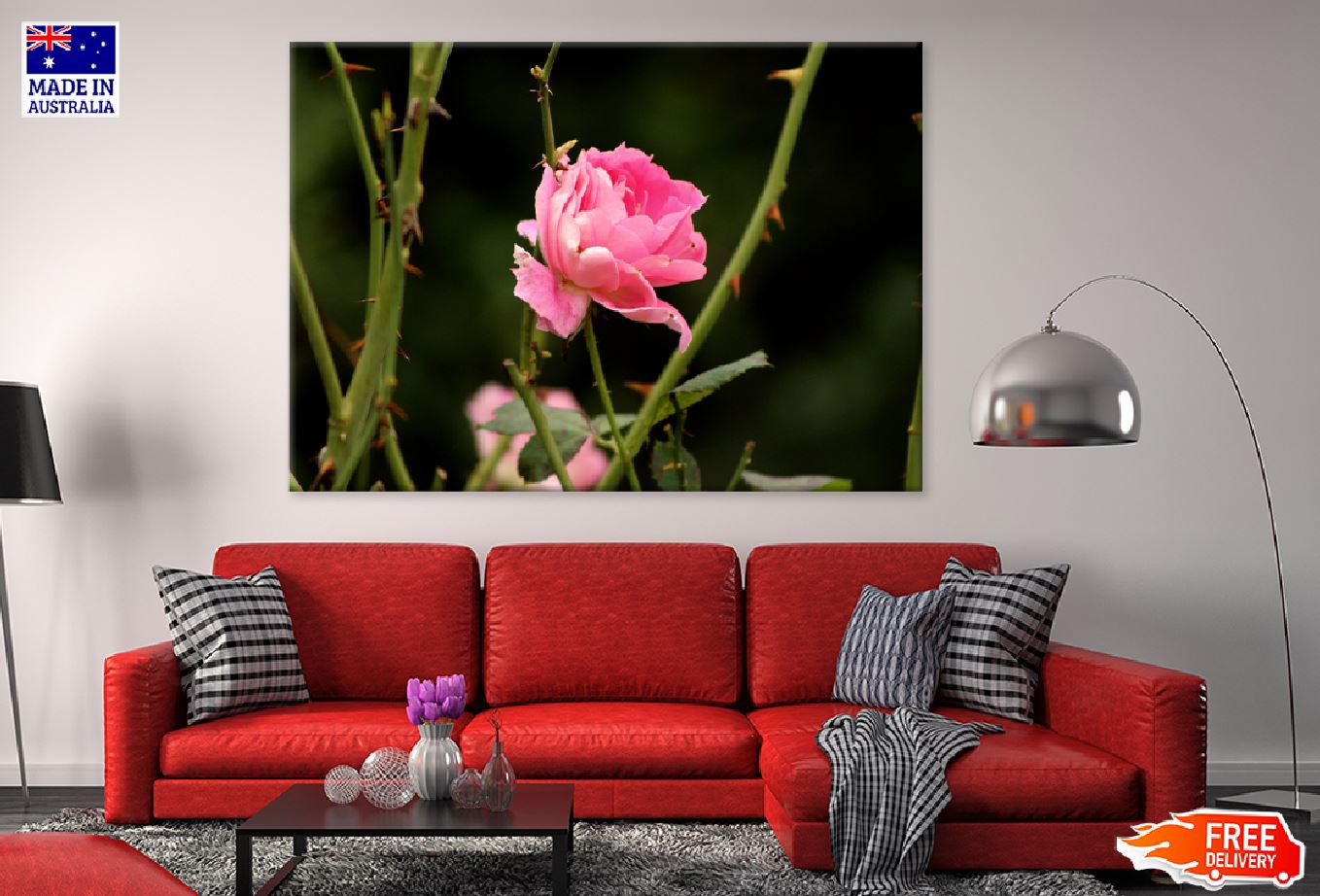 Pink Rose Flower Closeup View Photograph Print 100% Australian Made