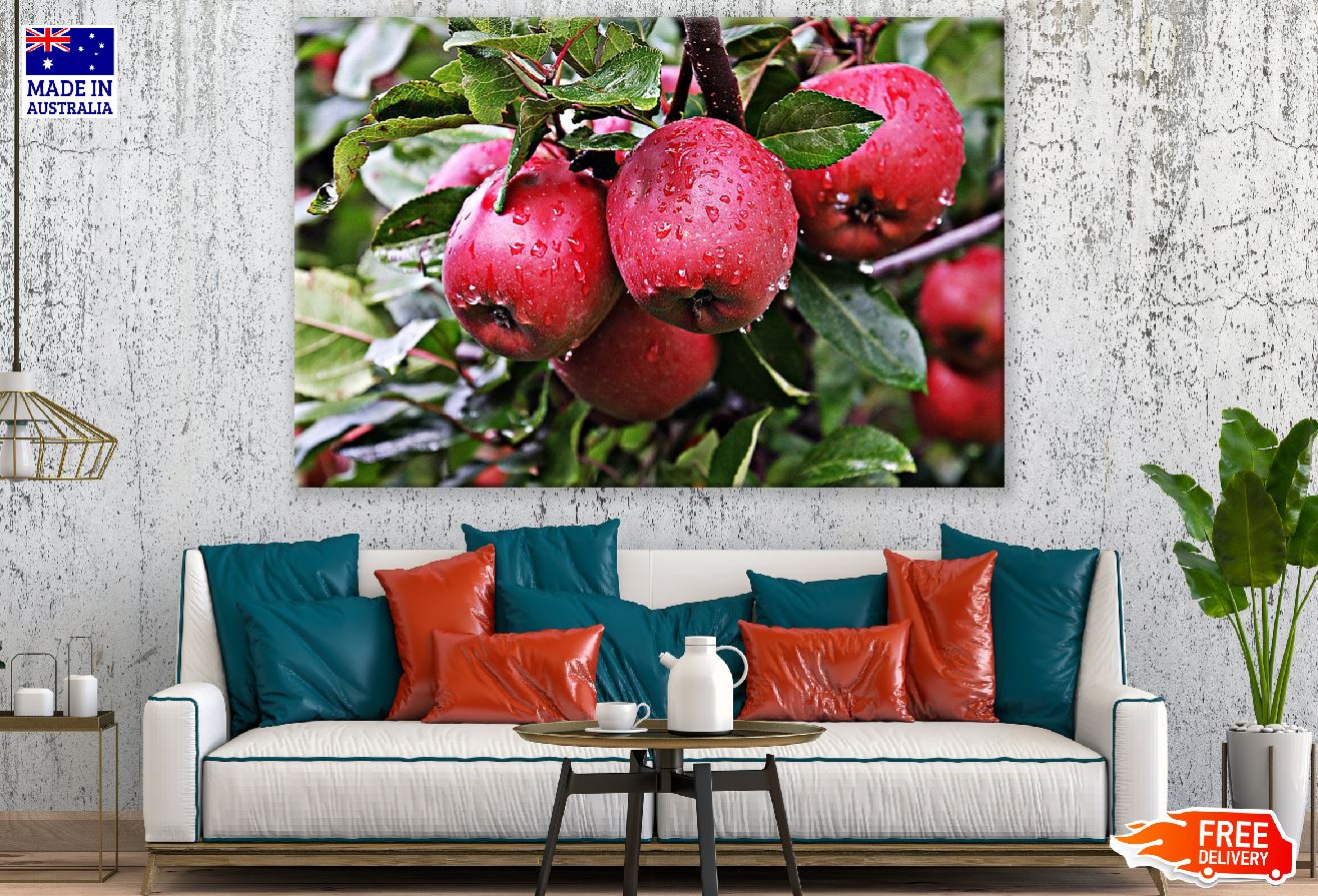 Red Apples & Leaves Closeup Photograph Print 100% Australian Made