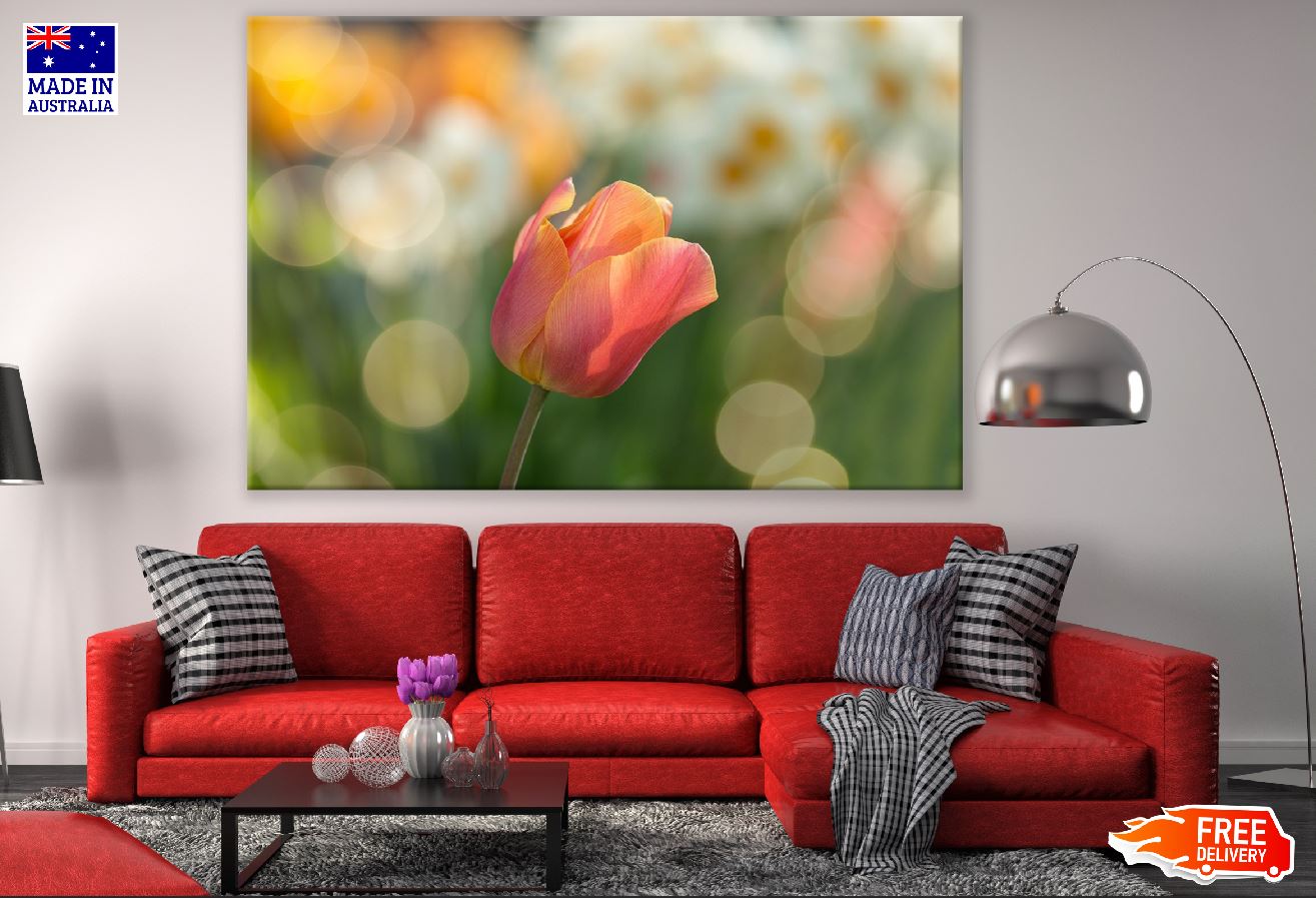 Orange Tulip Flower Closeup Photograph Print 100% Australian Made