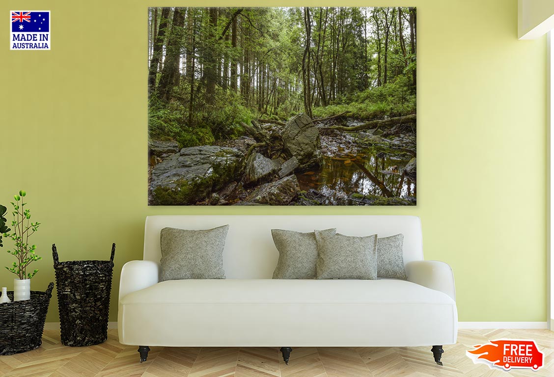 Waterhole in Forest with Rocks Photograph Print 100% Australian Made