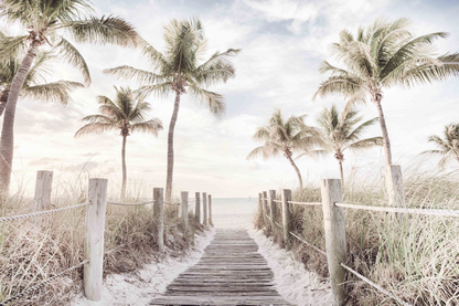 Plam Trees & Wooden Pier View Print 100% Australian Made