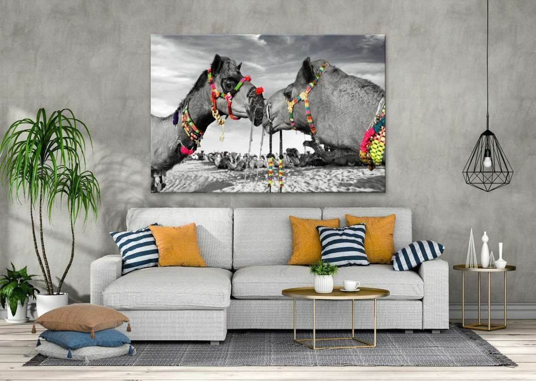 Camel Kiss Black and White Print 100% Australian Made