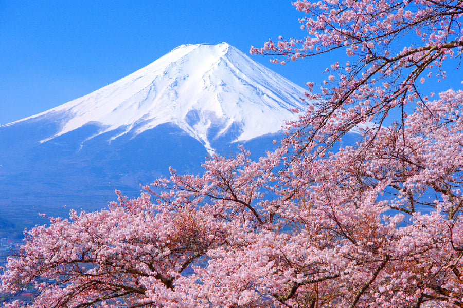 Blossom Flower Tree with Mountain View Print 100% Australian Made