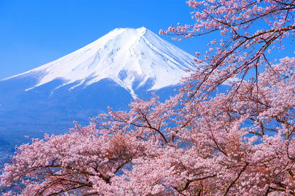 Blossom Flower Tree with Mountain View Print 100% Australian Made