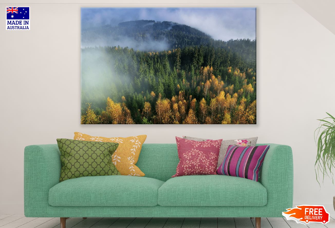 Foggy Autumn Forest Mountain Photograph Print 100% Australian Made