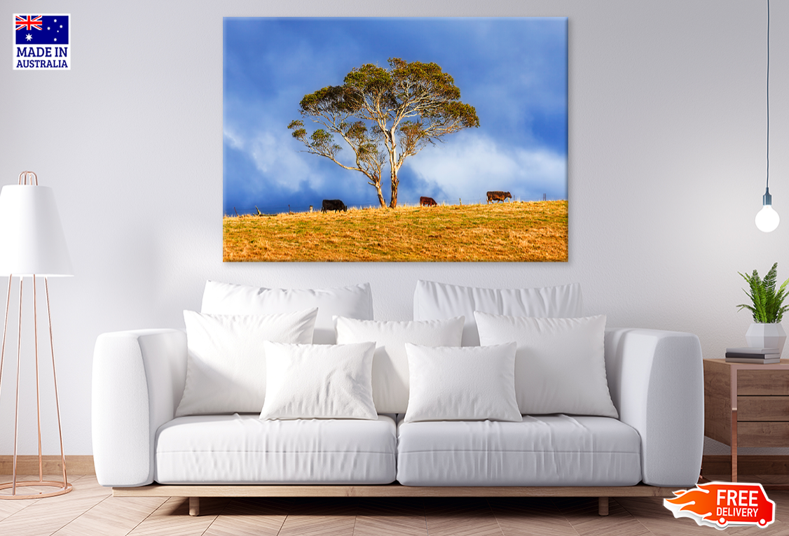 Tree & Cow Herd Scenery Photograph Print 100% Australian Made