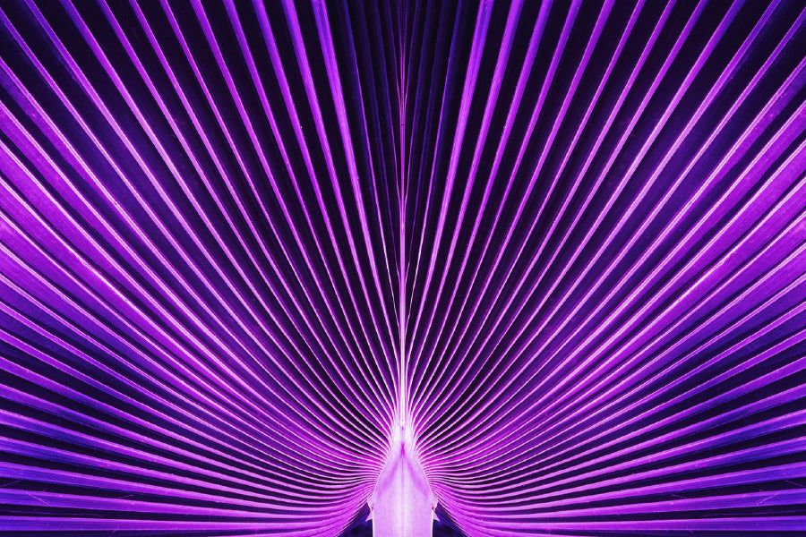 Purple Palm Leaf Abstarct Design Print 100% Australian Made