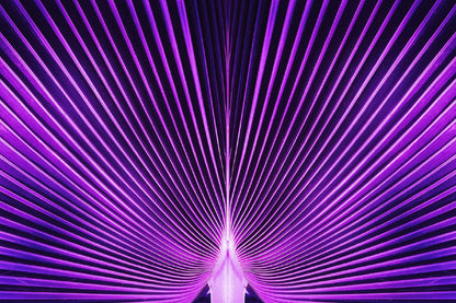 Purple Palm Leaf Abstarct Design Print 100% Australian Made