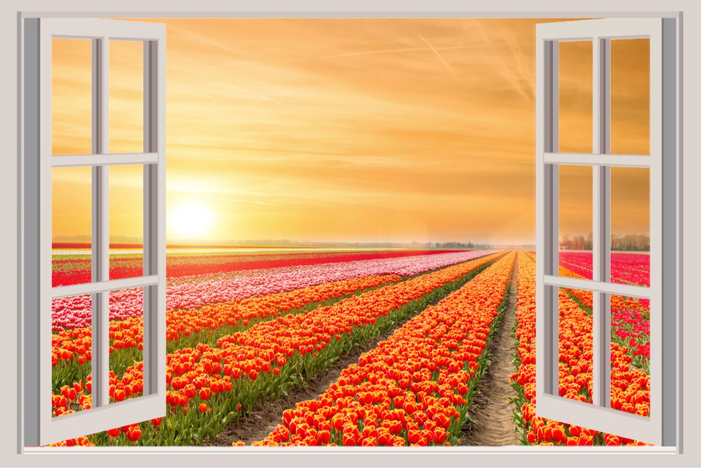 Wallpaper Murals Peel and Stick Removable Stunning Floral Field Sunset View from Window High Quality