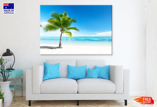 Palm Tree Near White Sandy Beach Photograph Print 100% Australian Made