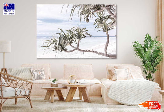 Screw Pine Tree Near Sea View Print 100% Australian Made