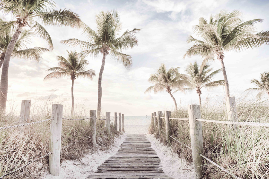 Plam Trees & Wooden Pier View Home Decor Premium Quality Poster Print Choose Your Sizes