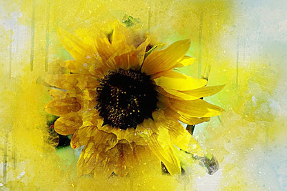 Sunflower Abstract Design Print 100% Australian Made