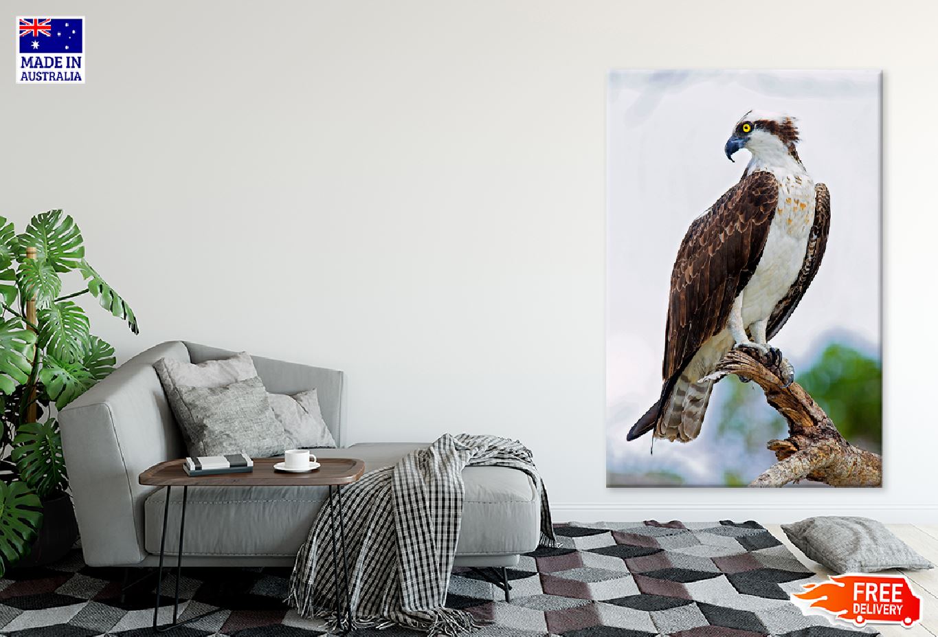 Osprey Eagle on Tree Branch View Photograph Print 100% Australian Made