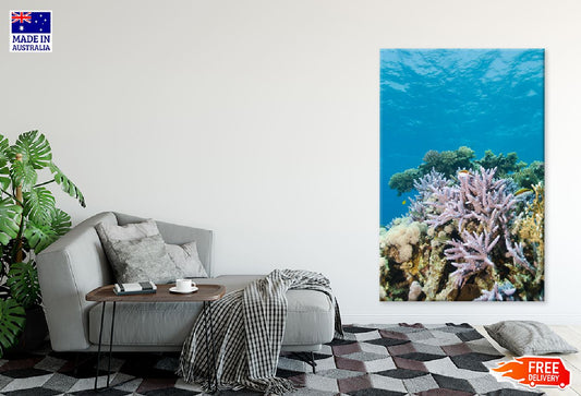 Staghorn Coral in Red Sea View Photograph Print 100% Australian Made