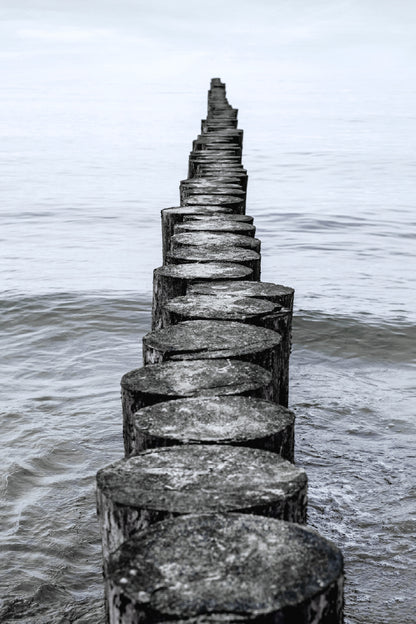 Wooden Breakwater on Baltic Sea Photograph Print 100% Australian Made