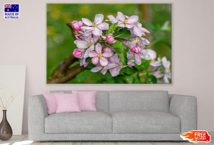 White & Pink Applr Blossom Flowers Photograph Print 100% Australian Made