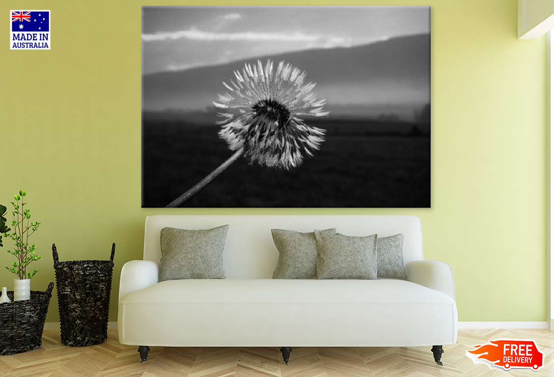 B&W Dandelion Flower Closeup Photograph Print 100% Australian Made