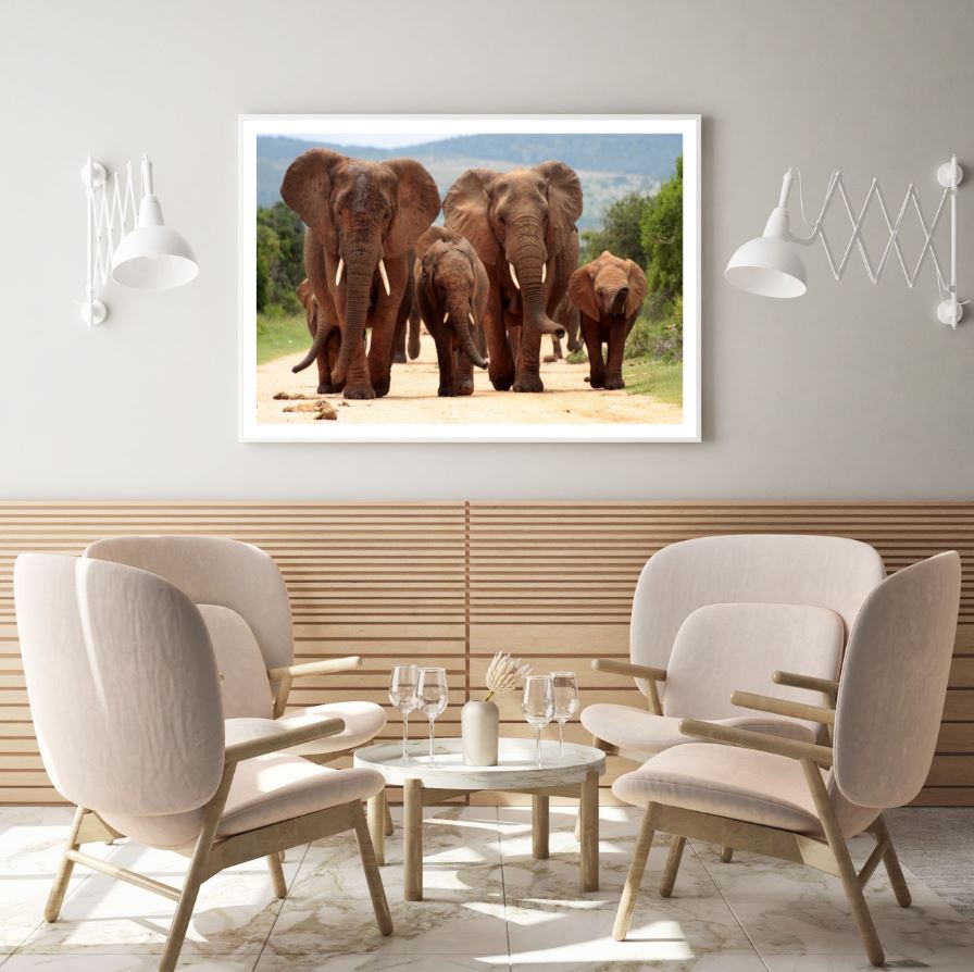 Elephants Walking on Road Photograph Home Decor Premium Quality Poster Print Choose Your Sizes