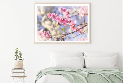 Pink Cherry Flowers Branch View Photograph Home Decor Premium Quality Poster Print Choose Your Sizes