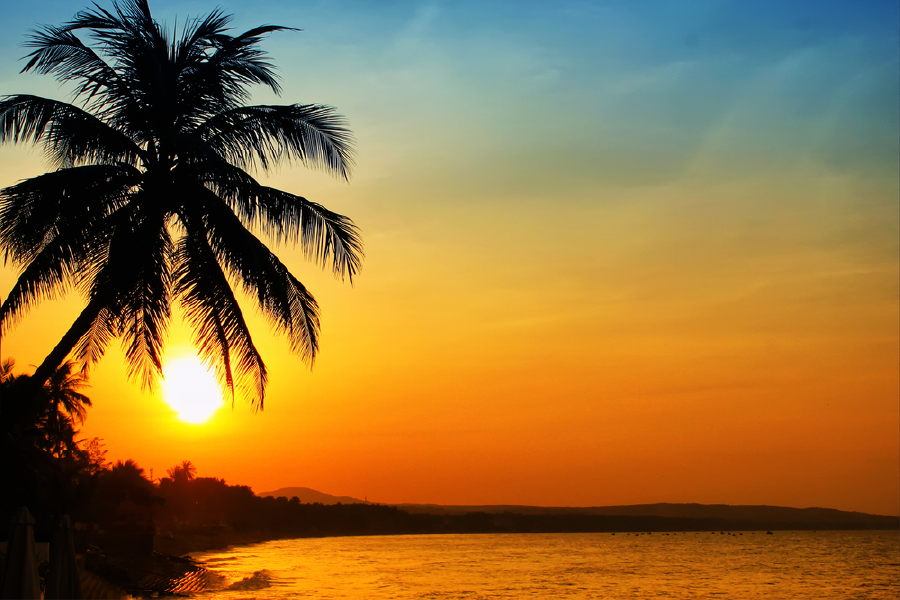 Sunset On Tropical Beach & Palm Trees Photograph Print 100% Australian Made