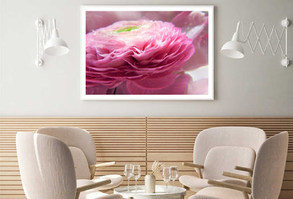 Pink Ranunculus Flower Photograph Home Decor Premium Quality Poster Print Choose Your Sizes