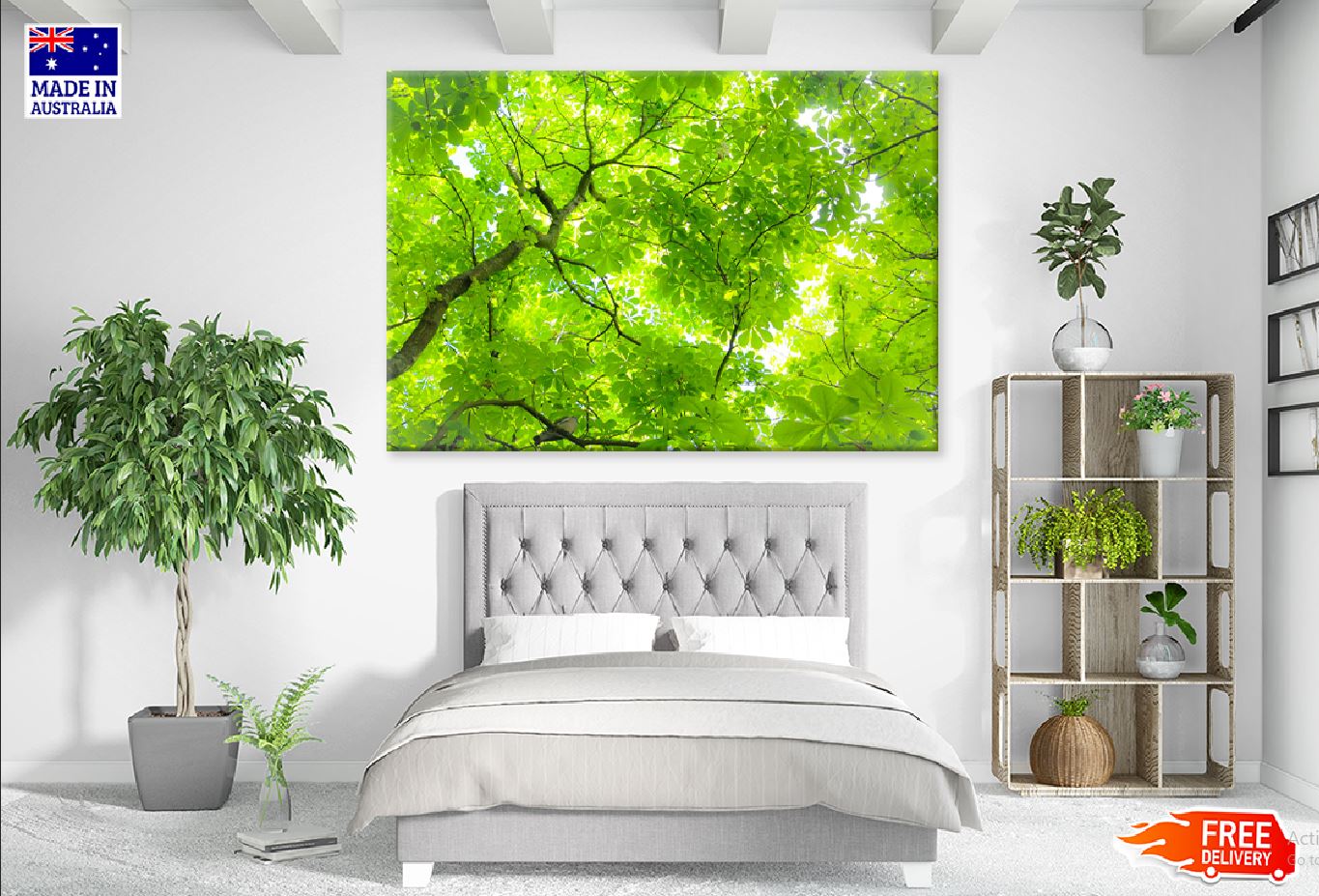 Green Tree Leaves View From Below Photograph Print 100% Australian Made