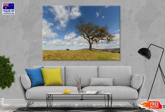 Lonely Tree in Middle Field Sky Photograph Print 100% Australian Made