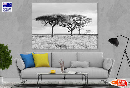 Trees on Grass Field B&W View Photograph Print 100% Australian Made