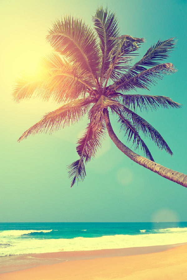 Tropical Beach & Palm Tree Sunset Scenery Print 100% Australian Made