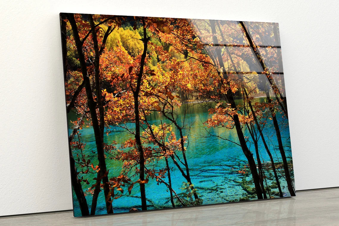 Lake & Autumn Forest Photograph Acrylic Glass Print Tempered Glass Wall Art 100% Made in Australia Ready to Hang