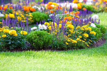 State Park Flower Garden View Photograph Print 100% Australian Made