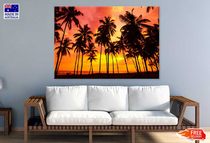 Palm Trees on Beach at Sunset View Photograph Print 100% Australian Made