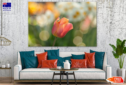 Orange Tulip Flower Closeup Photograph Print 100% Australian Made