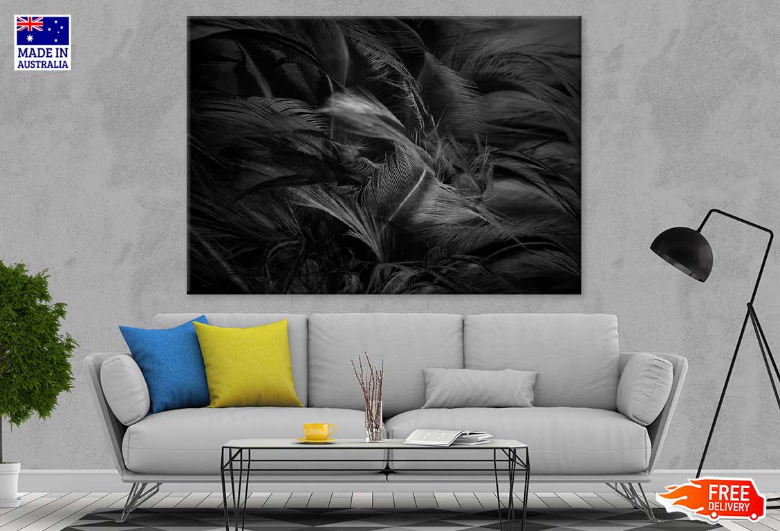 Black Feathers B&W Photograph Print 100% Australian Made