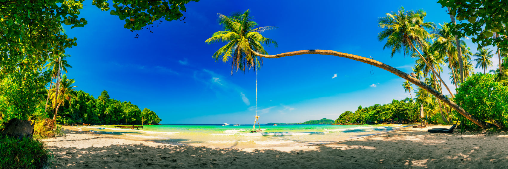 Panoramic Canvas Palm & Tropical Sea View Photographin High Quality 100% Australian Made Wall Canvas Print Ready to Hang