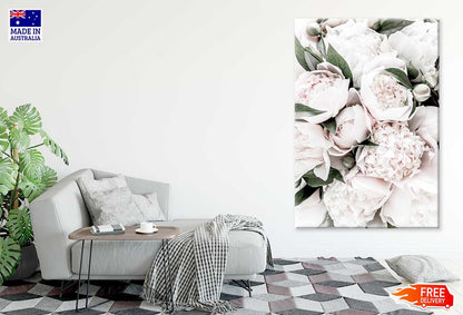 Pink Peonies With Leaves View Photograph Print 100% Australian Made