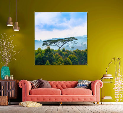 Square Canvas Trees View Pre Dawn Haze Kerala High Quality Print 100% Australian Made