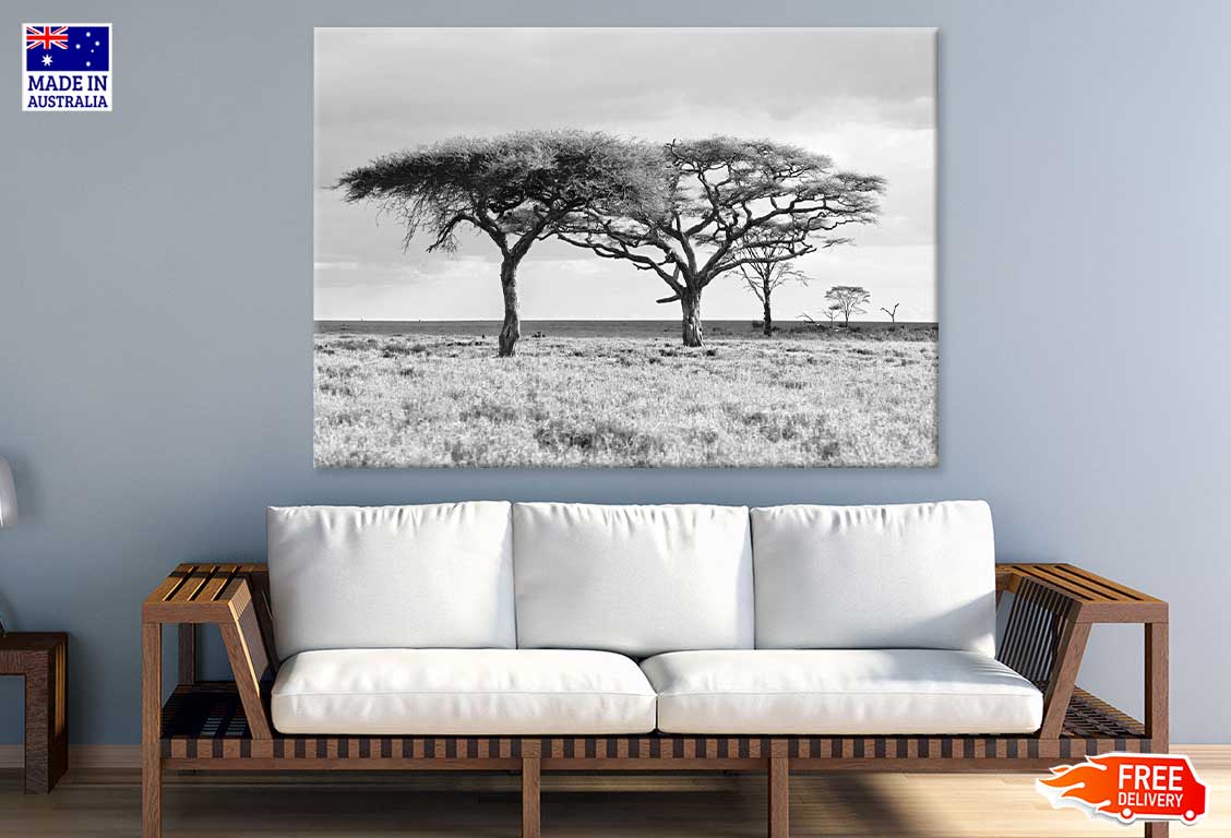 Trees on Grass Field B&W View Photograph Print 100% Australian Made